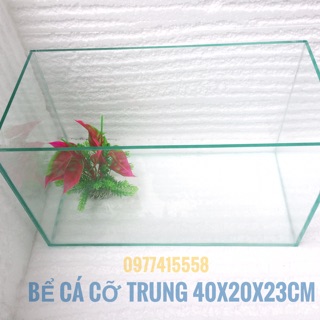 Bể cá size trung