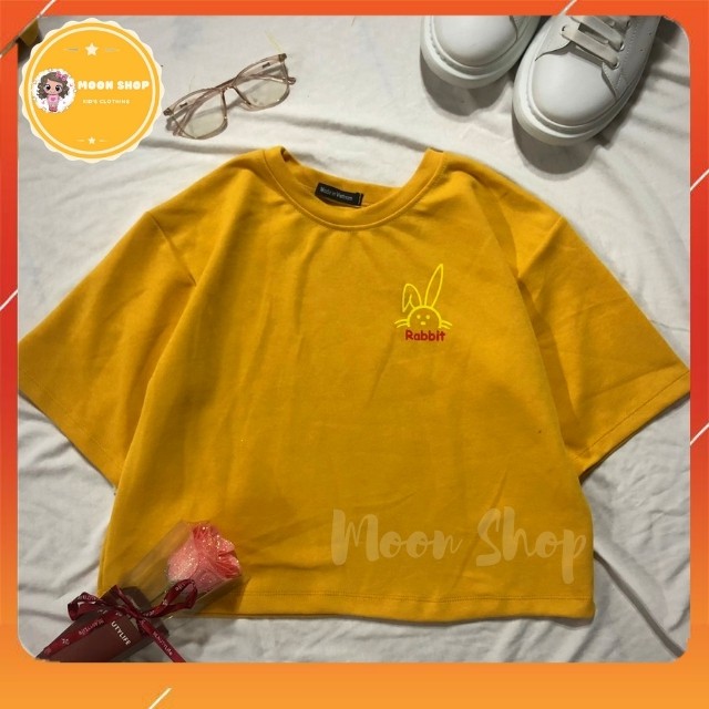 [Sale sập sàn] Áo Croptop, Áo Phông Cổ Tròn Áo Thun In Nhiều Mẫu Chất Liệu Cotton Loại 1 Vải Mềm Mịn, Thấm Hút Mồ Hôi | BigBuy360 - bigbuy360.vn