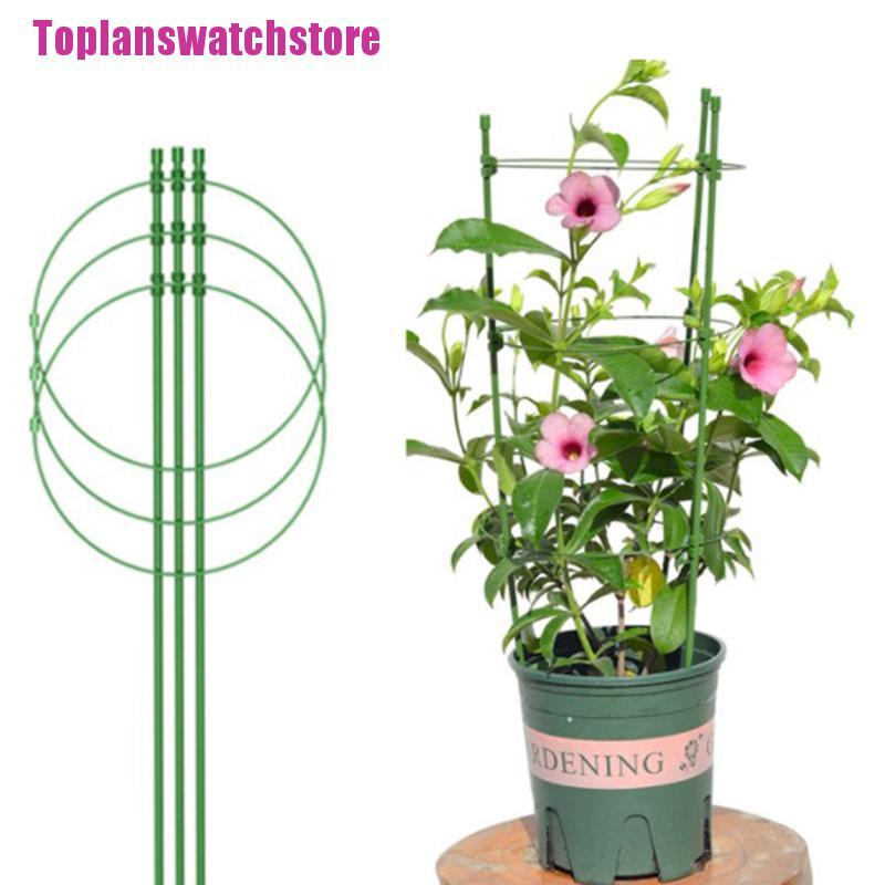 Giá Trồng Cây Dây Leo Trang Trí Sân Vườn
