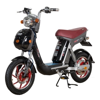 Xi nhan xe điện Ninja