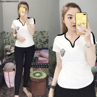 Combo 4 đồ bộ cotton mặc nhà