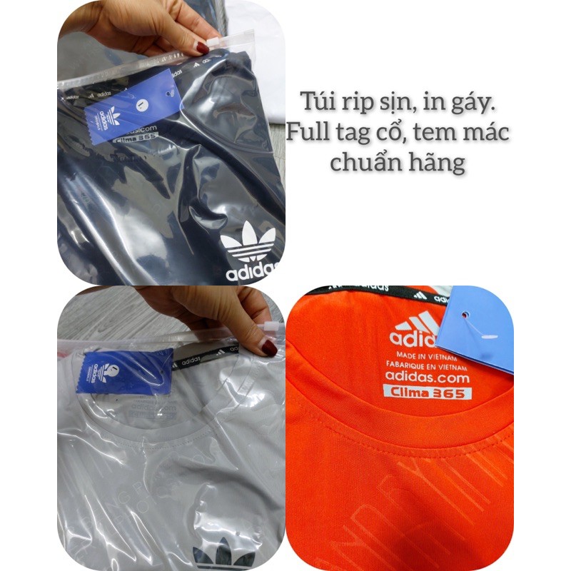 MẪU MỚI 2021 -BỘ NAM THỂ THAO THUN LẠNH | BigBuy360 - bigbuy360.vn