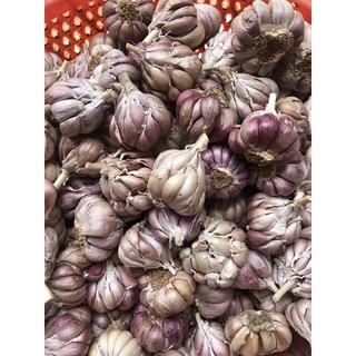 Tỏi bắc nguyên củ 500g