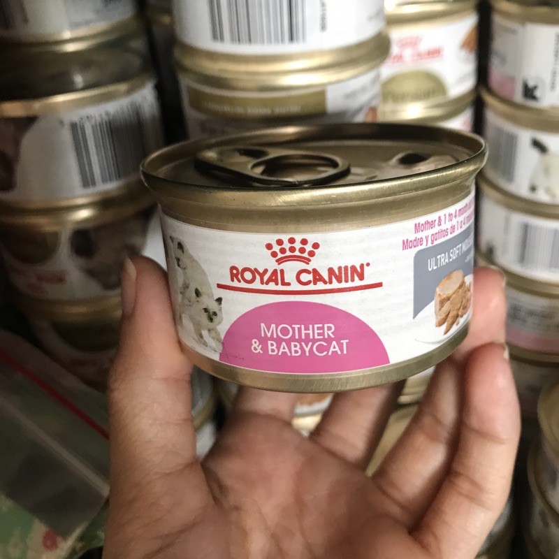 Pate mèo Royal Canin Mother & Babycat 85gr