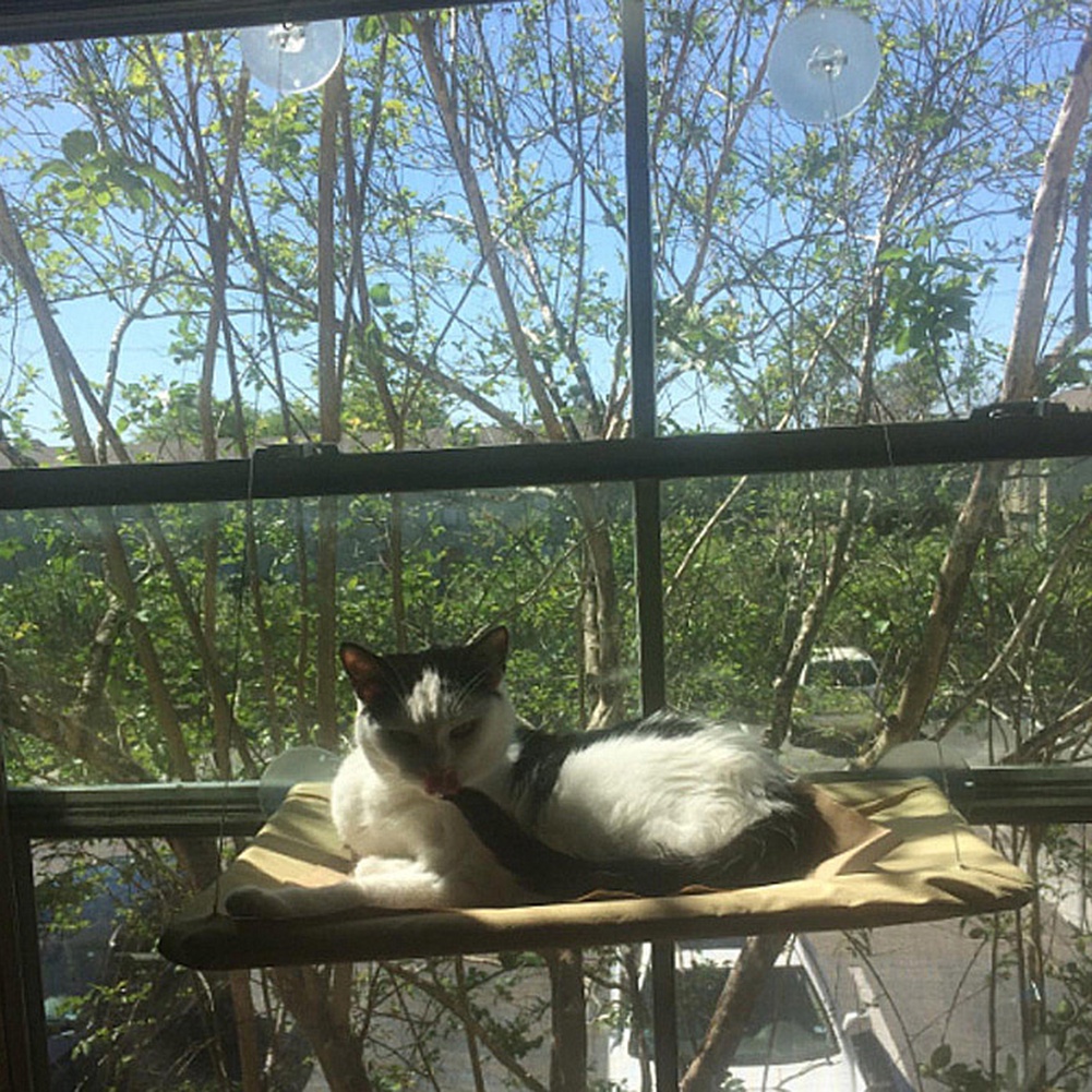 Võng Nằm Cho Thú Cưng Có Giác Hút Gắn Cửa Sổ