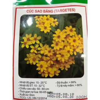 HẠT GIỐNG HOA CÚC SAO BĂNG nhập khẩu-  chuyên dụng.