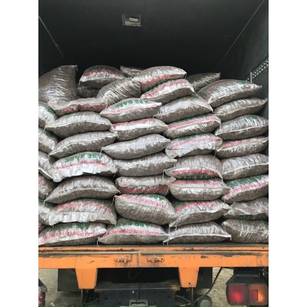 Vỏ Thông đủ size gói 1kg