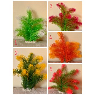[Chọn màu ngẫu nhiên] Cây rong đuôi chồn trang trí hồ cá-bể cá cảnh