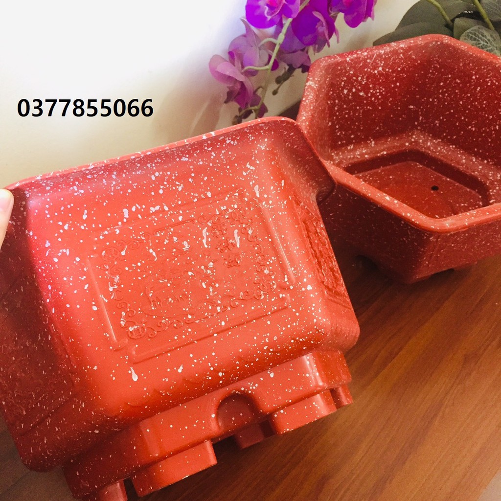 Chậu nhựa trồng cây màu giả đá lục giác, chậu to dày dặn bền đẹp, có chân cao 3cm và thân châu sâu rộng diện tích lớn