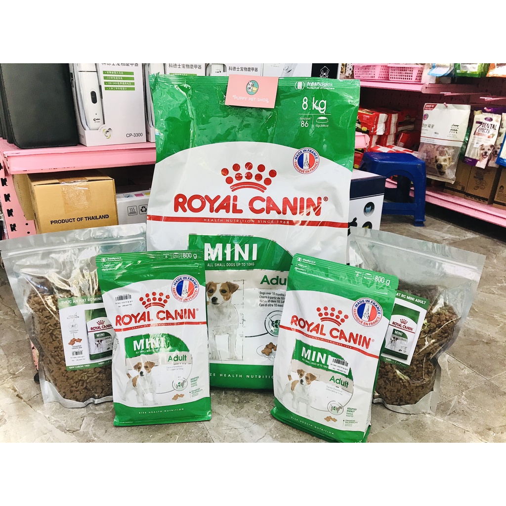 Thức ăn hạt dành cho dòng chó nhỏ trưởng thành - Royal Canin Mini Adult