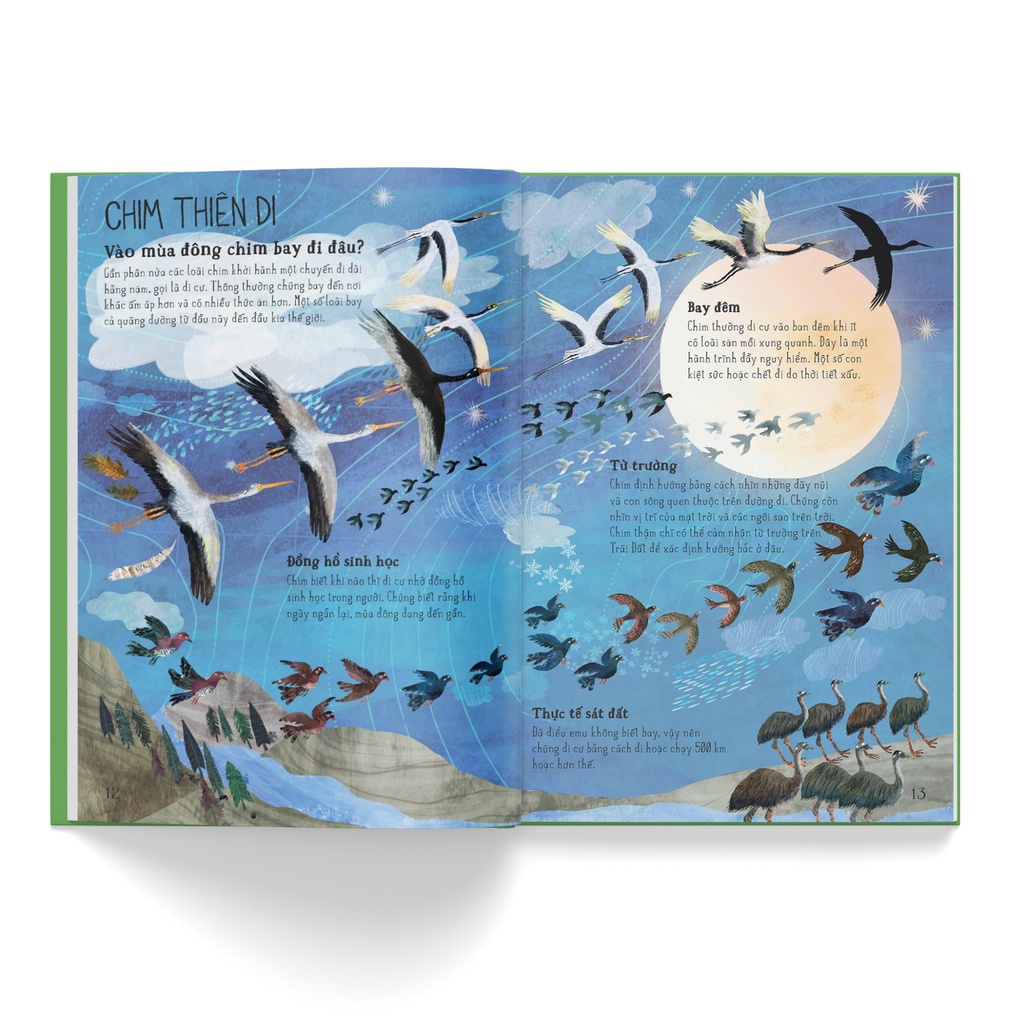 Sách - A Lê Hấp! Thế Giới Biển (Bình Book)