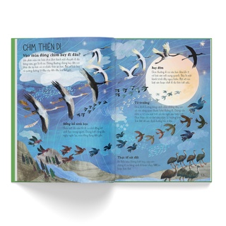 Sách - A Lê Hấp! Thế Giới Biển (Bình Book)