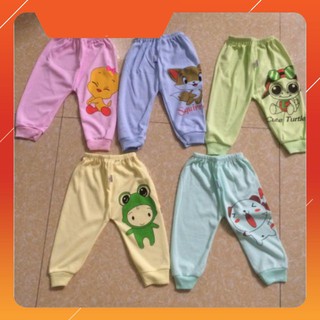 [NEW] quần chục cotton Carter cho  bé ( 10 quần) <3