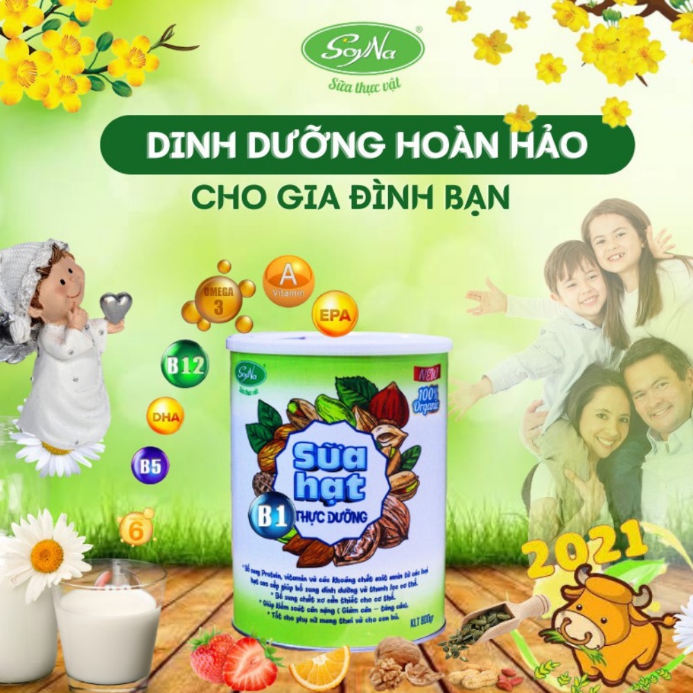 Ngũ Cốc Lợi Sữa, Giàu Dinh Dưỡng - Sữa Hạt Thực Dưỡng Soyna 800g - Sữa Cho Mẹ Bầu & Mẹ Sau Sinh Em Bé - Giấy Phép ATVSTP