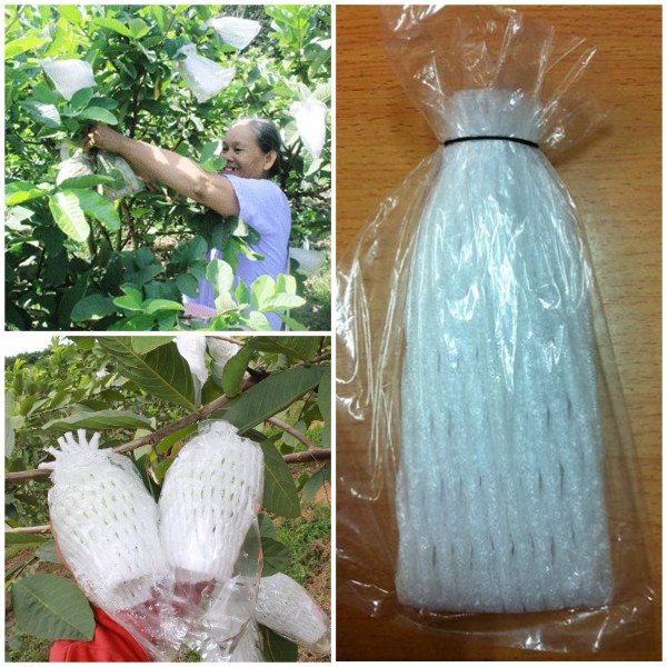 100 Bao Bọc Ổi ,Lê,Táo...gồm dây thun,xốp,túi nilon