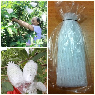 100 bao bọc ổi ,lê,táo...gồm dây thun,xốp,túi nilon