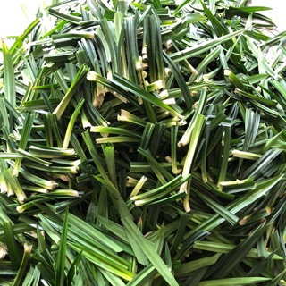 Lá nếp khô