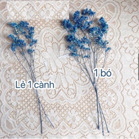 Cành lẻ Hoa bi khô decor,  Hoa thật sấy khô tông  màu pastel vintage trang trí nhà cửa