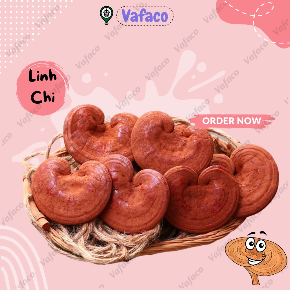 [LOẠI 1] Nấm Linh chi đỏ thượng hạng dạng túi - Bồi bổ sức khỏe, tăng sức đề kháng chống lão hóa - Hàng loại I