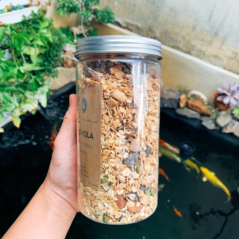 Ngũ Cốc Ăn Kiêng - Yến Mạch Granola Homemade 500g