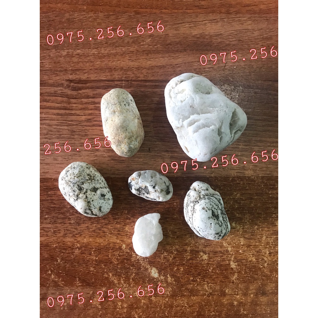 combo 6 Viên Đá kỳ tẩy da đá bể cá
