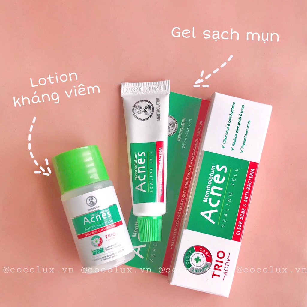 Bộ Acnes Chăm Sóc Da Mụn Cho Mặt Và Cơ Thể (4 món) Cocolux