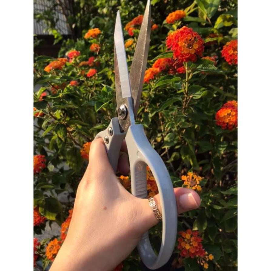 Kéo Cắt Gà Size Lớn 22cm Siêu Sắc, Kéo Nhật Làm Bếp Đa Năng Cắt Vải Cắt Giấy SK5