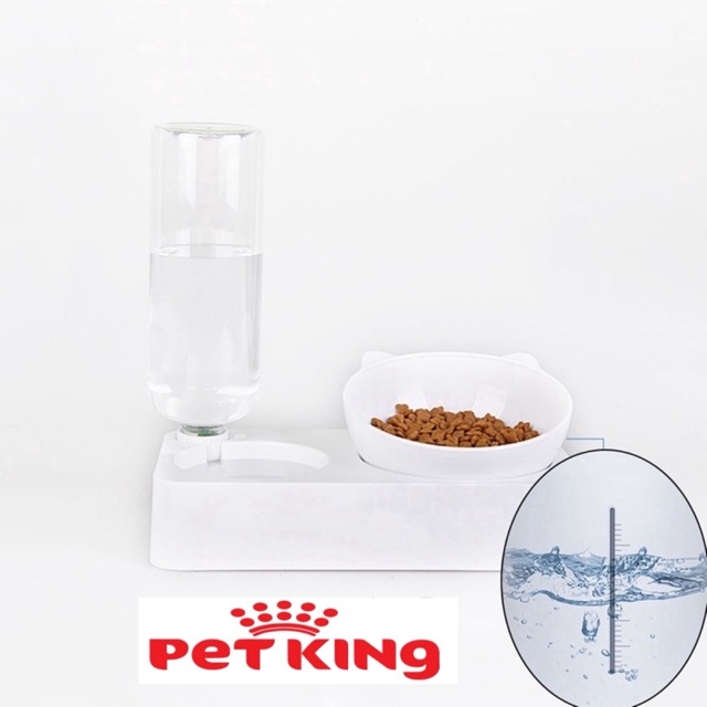 Combo Bát Ăn Chống Gù Đầu Mèo và Bình Nước cho Thú Cưng