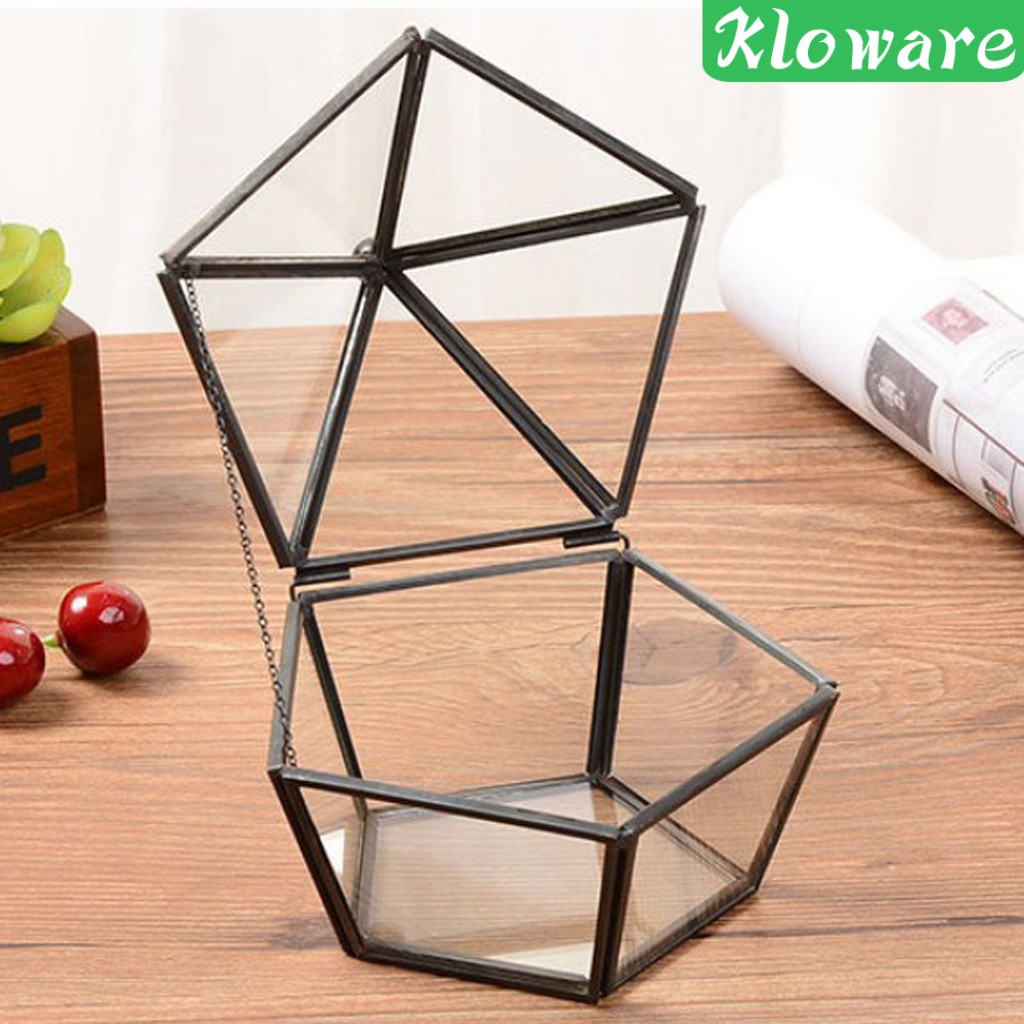 Chậu Trồng Cây Bằng Kính Thiết Kế Hình Học Độc Đáo