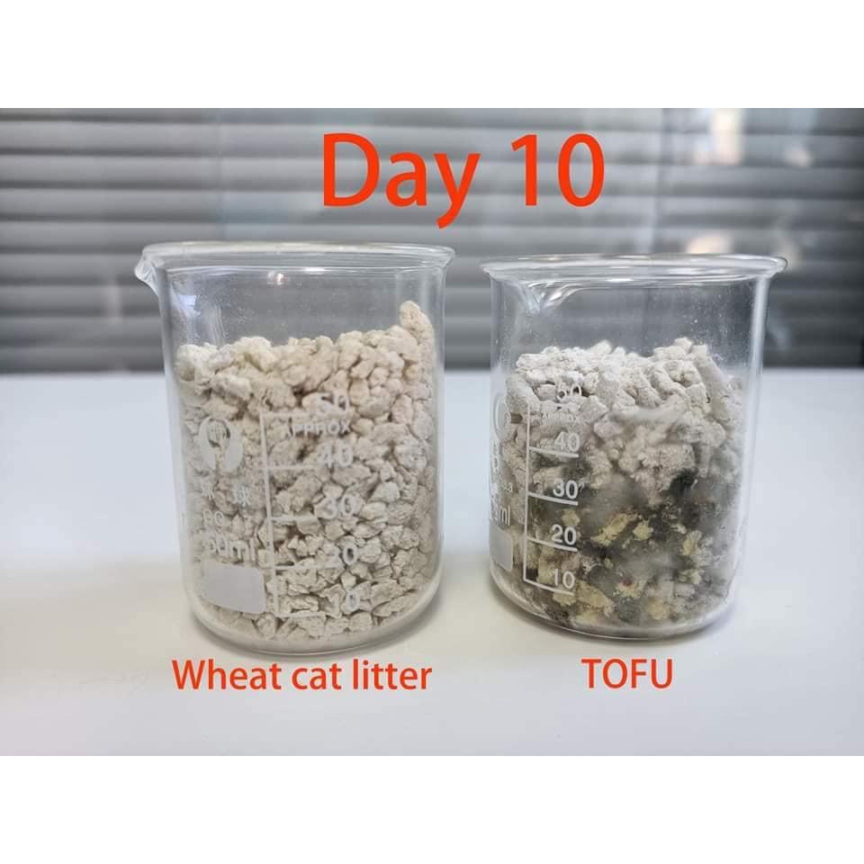 Cát vệ sinh Americal litte Lúa mạch 12l