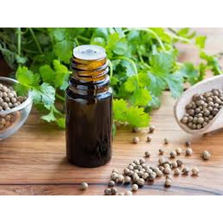 NƯỚC MÙI GIÀ (CORIENDER HYDROSOL)