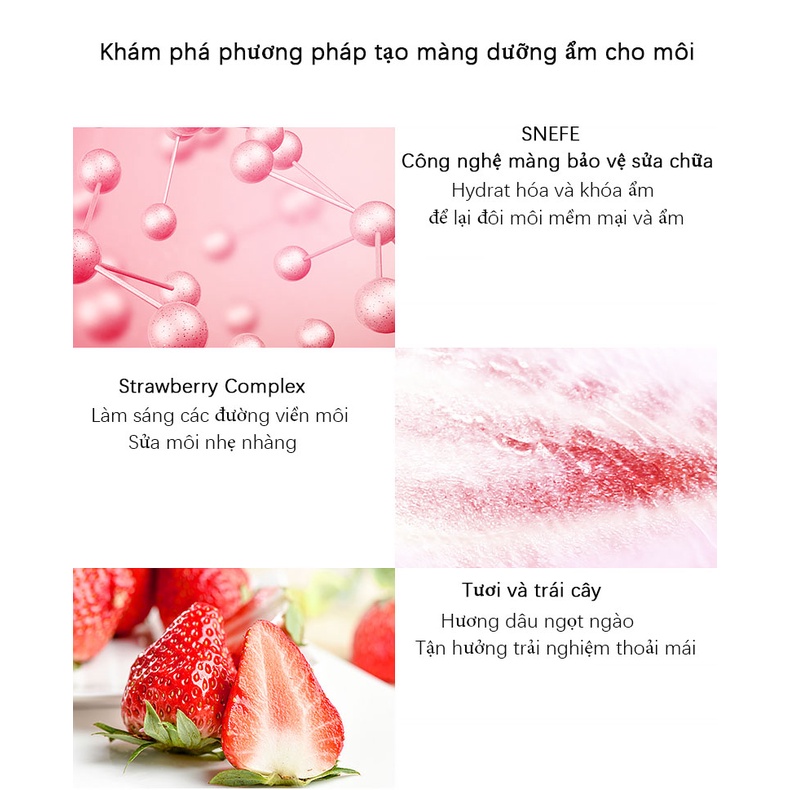 Mặt nạ ngủ cho môi SNEFE hương dâu tây 13g