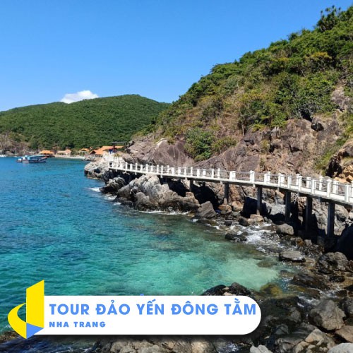- Tour Đảo Yến Đông Tằm (Gói cơ bản)