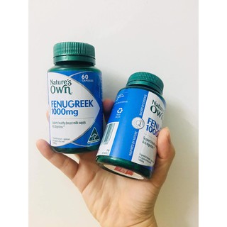 Viên Kích Sữa và lợi sữa Cỏ Cà Ri - Nature's Own Fenugreek 1000mg 60 Capsules