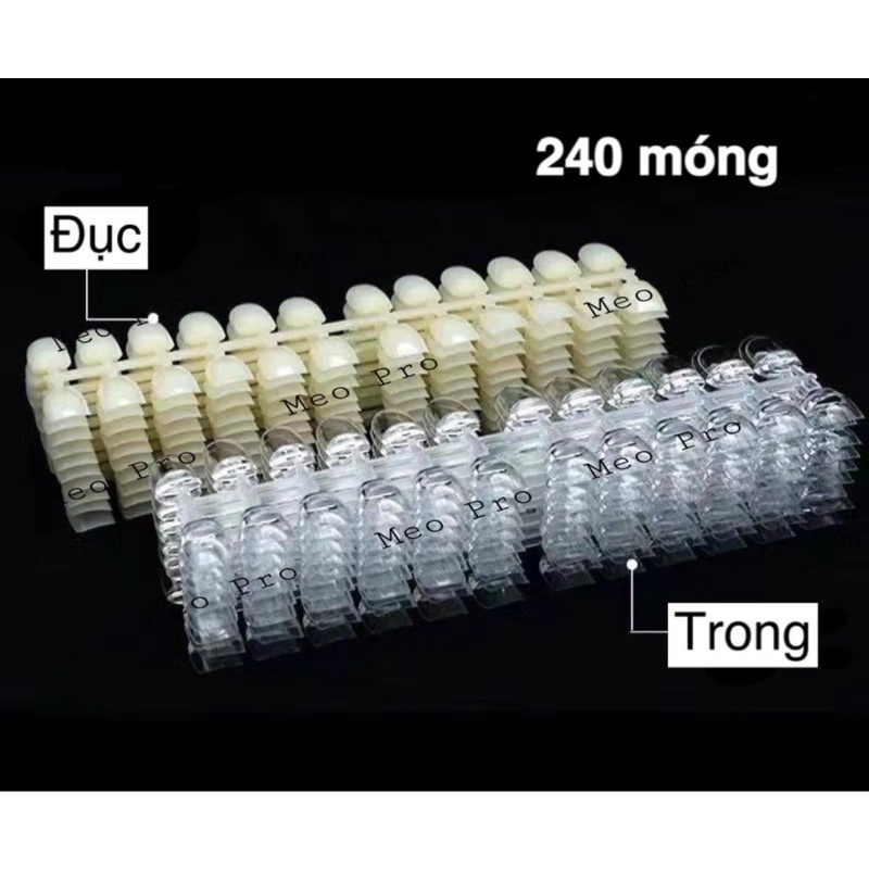 Vĩ móng tập sơn - vẽ - gắn sổ mẫu mới