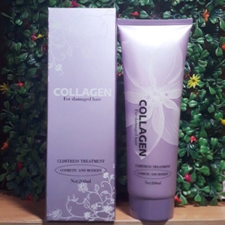 Dầu hấp collagen phục hồi tóc hư tổn for damagel hair