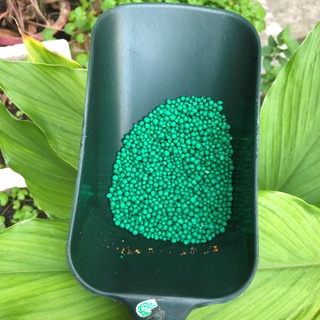 Phân tan Chậm Mỹ PoLyon hạt xanh - 16-6-12 (1kg)