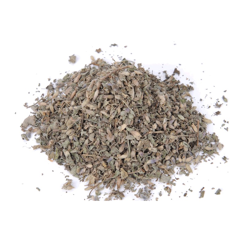 🐱🐱 CATNIP CỎ BẠC HÀ CHO MÈO