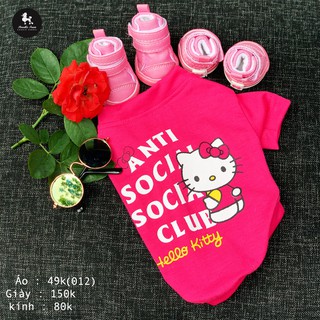 Quần áo chó mèo ( Áo phông họa tiết Hello Kitty) 012