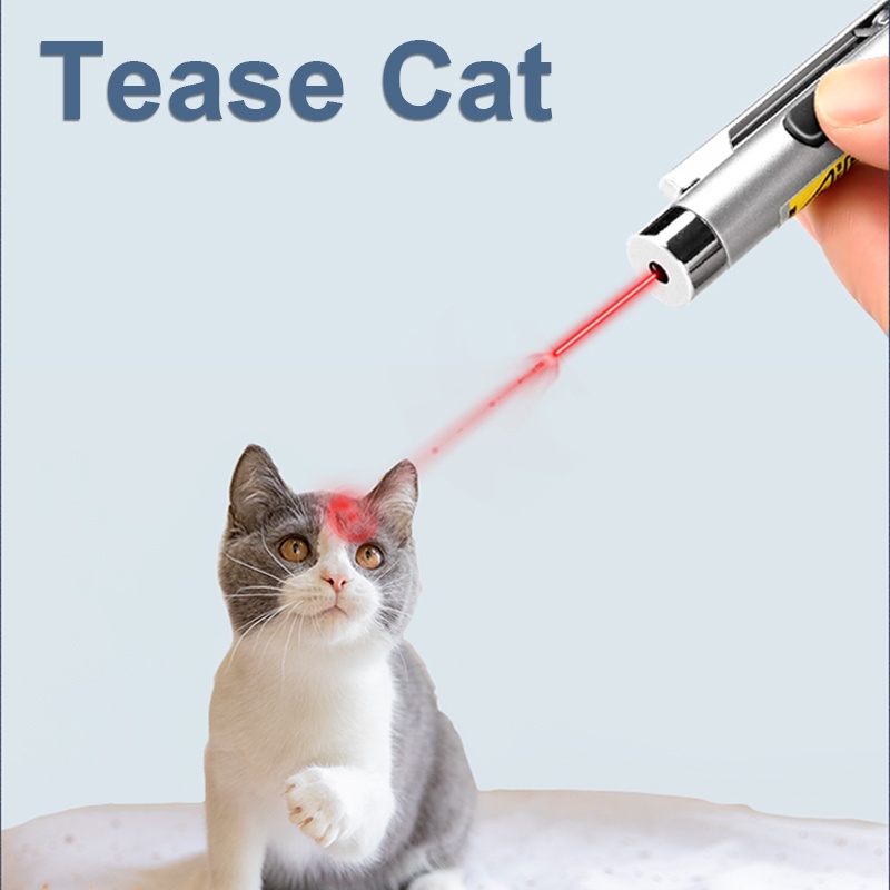 Retractable Red Laser Pointer Pen Portable Dogs Cats Playing Training Toys Powerpoint Presentation For Speech Teaching Meeting（Free Battery*6）