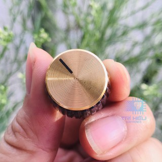 Núm vặn volume Marshall DIY