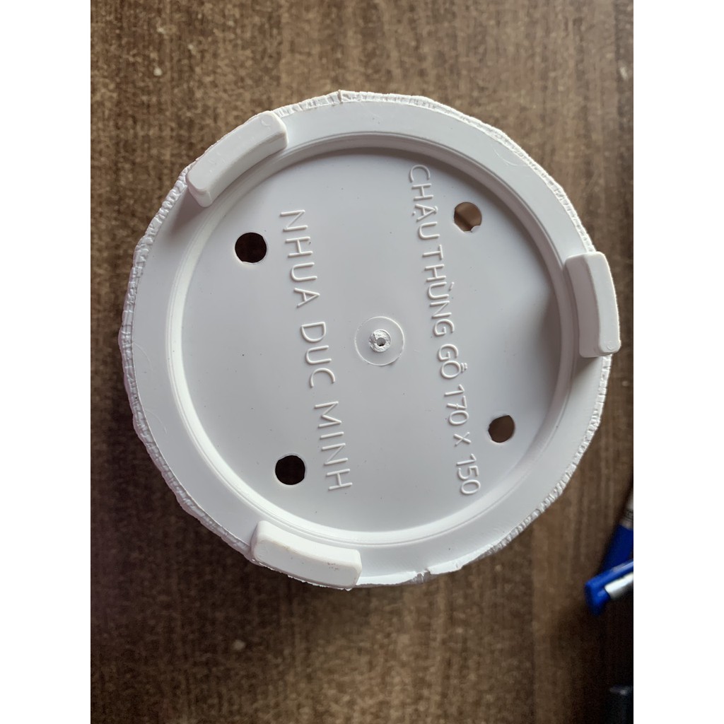 Chậu thùng gỗ Đức Minh