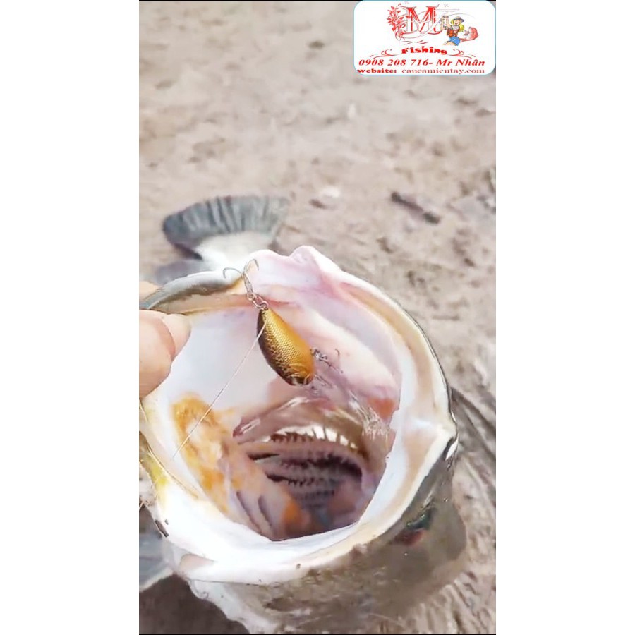 Chuppy Mồi Lure Cá Chẽm Tráp Lóc  R39 Rất Hiệu Quả