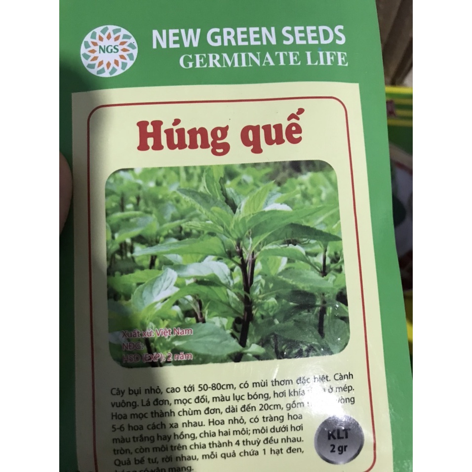 Hạt giống các loại rau thơm-Tía tô-ngò-hành lá-kinh giới-thì là-ngò gai-bạc hà-húng quế
