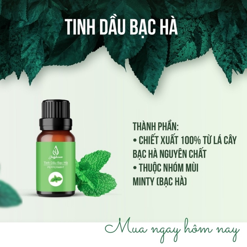 Tinh Dầu Bạc Hà July House Cao Cấp Nhập Khẩu Thiên Nhiên Nguyên Chất Trà Quán Lọ 10ml