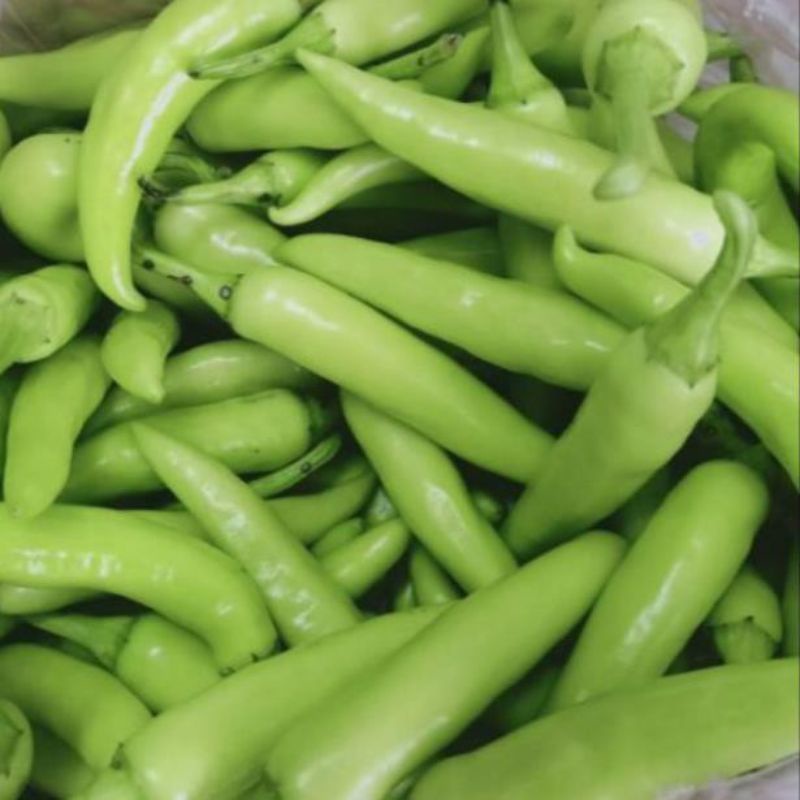 1kg ớt xanh Huế siêu cay