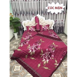 Trọn bộ ga gối chăn hè 5 món poly cotton