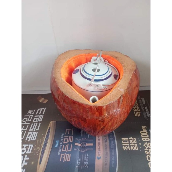 Vỏ đựng ấm trà trái dừa