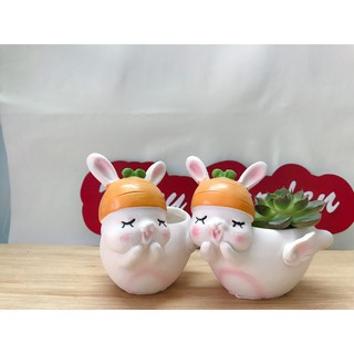 Chậu Trồng Cây Mini Hình Thỏ Ngọc