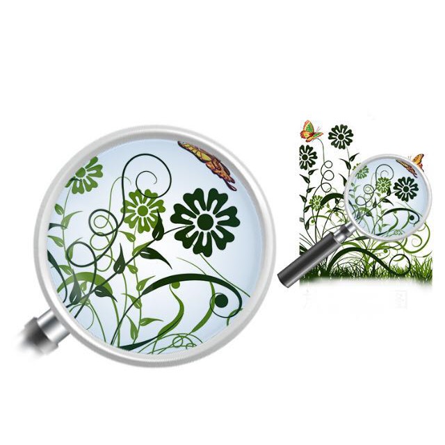 Decal dán kính cao cấp - Mẫu Hoa bướm Xanh Lá ( 60x116 )